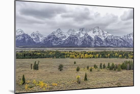 Teton Fall Colors-Galloimages Online-Mounted Photographic Print