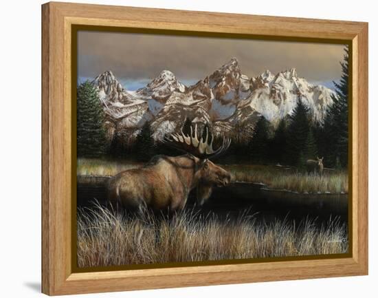 Teton Majesty-Kevin Daniel-Framed Stretched Canvas