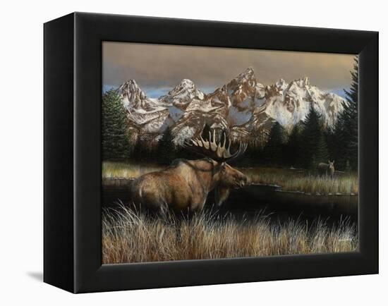 Teton Majesty-Kevin Daniel-Framed Stretched Canvas