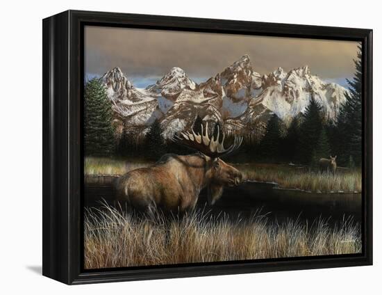 Teton Majesty-Kevin Daniel-Framed Stretched Canvas