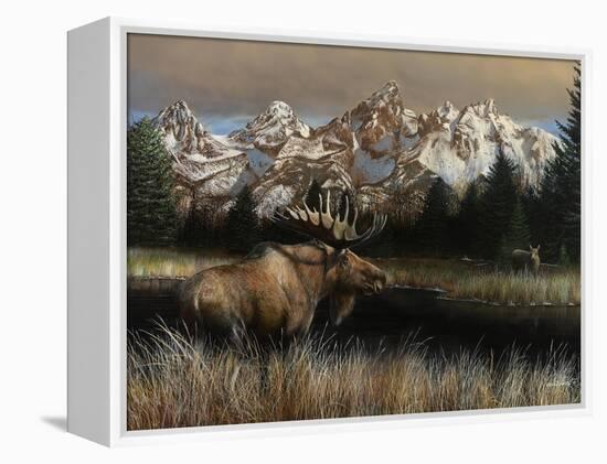 Teton Majesty-Kevin Daniel-Framed Stretched Canvas