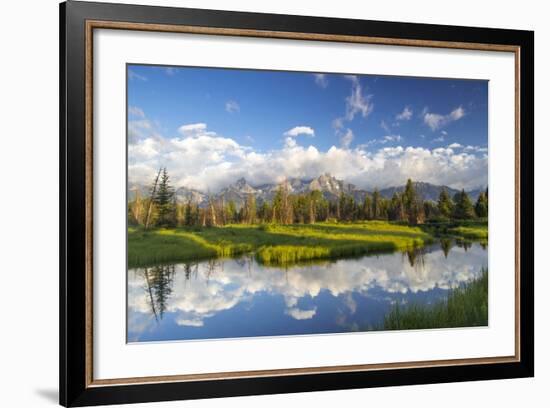 Teton Mountains in Schwabacher Landing, Snake River, Grand Teton National Park, Wyoming, USA-Chuck Haney-Framed Photographic Print