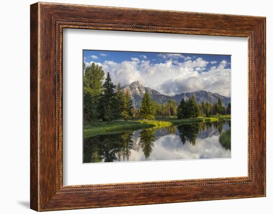 Teton Mountains in Schwabacher Landing, Snake River, Grand Teton National Park, Wyoming, USA-Chuck Haney-Framed Photographic Print