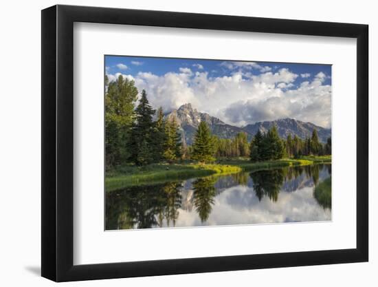 Teton Mountains in Schwabacher Landing, Snake River, Grand Teton National Park, Wyoming, USA-Chuck Haney-Framed Photographic Print
