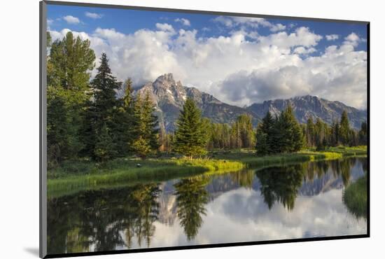 Teton Mountains in Schwabacher Landing, Snake River, Grand Teton National Park, Wyoming, USA-Chuck Haney-Mounted Photographic Print