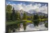 Teton Mountains in Schwabacher Landing, Snake River, Grand Teton National Park, Wyoming, USA-Chuck Haney-Mounted Photographic Print