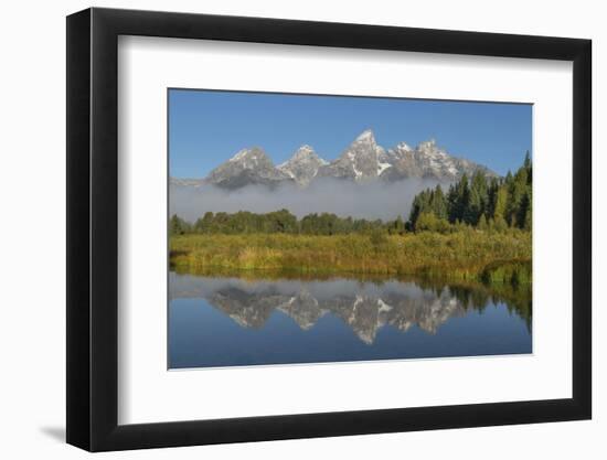 Teton Range reflected in still waters of the Snake River at Schwabacher Landing, Grand Teton NP, WY-Alan Majchrowicz-Framed Photographic Print