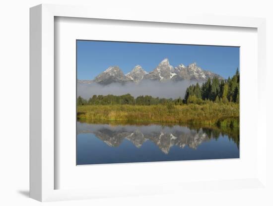 Teton Range reflected in still waters of the Snake River at Schwabacher Landing, Grand Teton NP, WY-Alan Majchrowicz-Framed Photographic Print