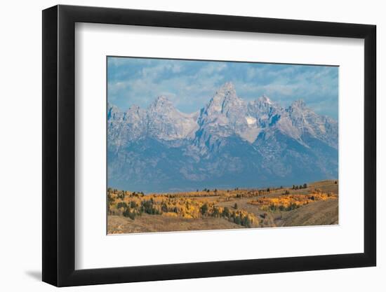 Teton Range seen from Wedding Tree overlook, Wyoming-Alan Majchrowicz-Framed Photographic Print