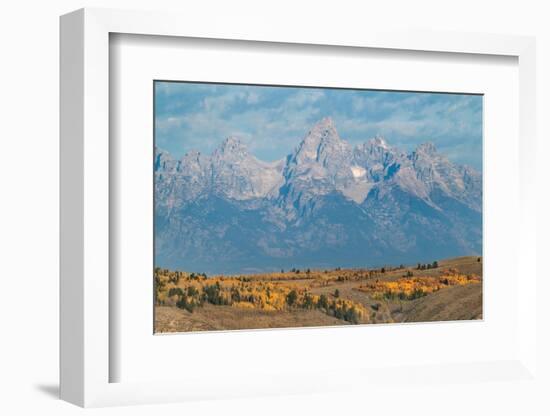 Teton Range seen from Wedding Tree overlook, Wyoming-Alan Majchrowicz-Framed Photographic Print