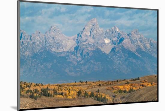 Teton Range seen from Wedding Tree overlook, Wyoming-Alan Majchrowicz-Mounted Photographic Print