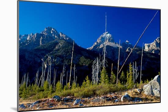 Teton-Gordon Semmens-Mounted Photographic Print