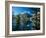 Teton-Gordon Semmens-Framed Photographic Print