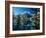 Teton-Gordon Semmens-Framed Photographic Print