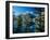 Teton-Gordon Semmens-Framed Photographic Print