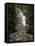 Tetons 2012 #1105 (2)-Gordon Semmens-Framed Premier Image Canvas