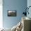Tetons 2012 #891-Gordon Semmens-Framed Premier Image Canvas displayed on a wall