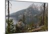 Tetons 2012 #891-Gordon Semmens-Mounted Photographic Print