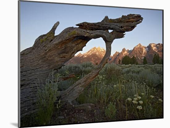 Tetons at First Light, Grand Teton National Park, Wyoming, United States of America, North America-James Hager-Mounted Photographic Print