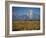 Tetons IV-J.D. Mcfarlan-Framed Photographic Print