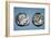 Tetradrachm, Greek Coin, Silver Head of Athena and Owl, mid to late 5th century BC-Unknown-Framed Giclee Print