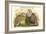 Tetraogallus Himilayensis - Himalaya Snow Partridge-John Gould-Framed Art Print