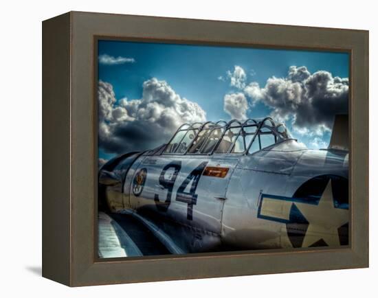 Texan-Stephen Arens-Framed Premier Image Canvas