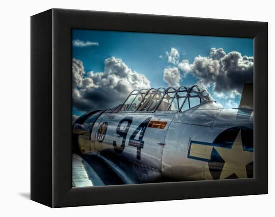 Texan-Stephen Arens-Framed Premier Image Canvas