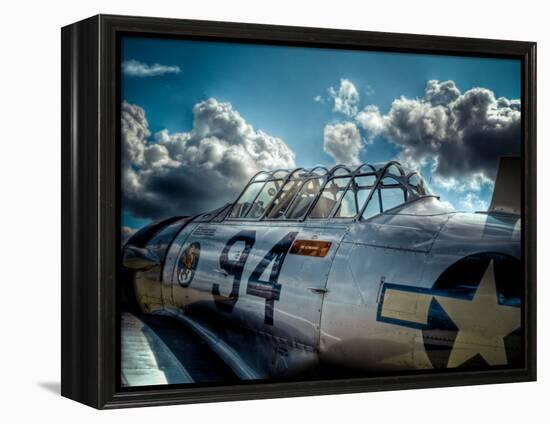 Texan-Stephen Arens-Framed Premier Image Canvas