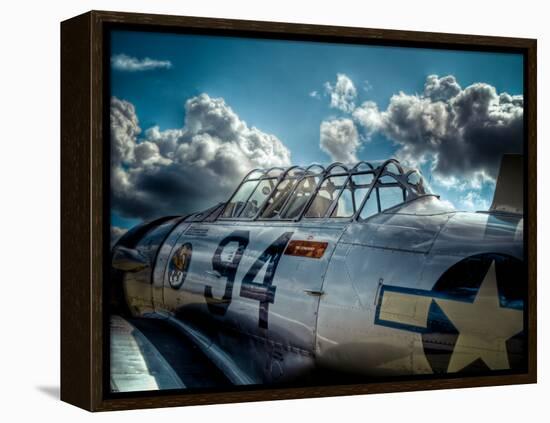 Texan-Stephen Arens-Framed Premier Image Canvas