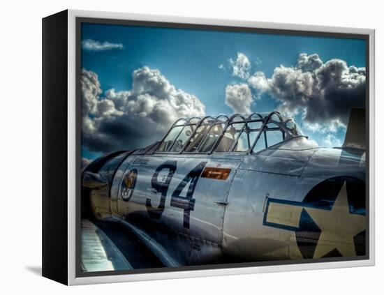 Texan-Stephen Arens-Framed Premier Image Canvas