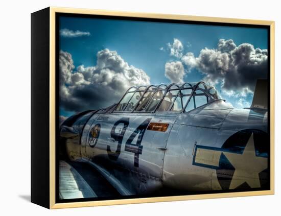 Texan-Stephen Arens-Framed Premier Image Canvas