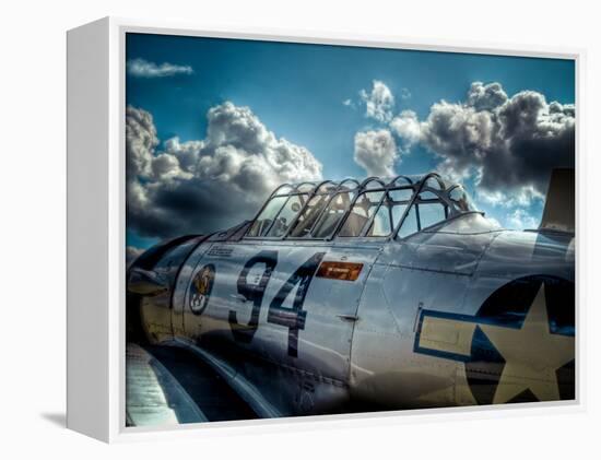 Texan-Stephen Arens-Framed Premier Image Canvas