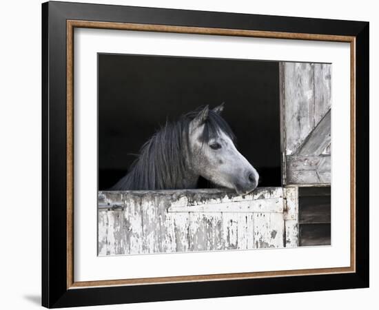 Texas Beauty-Assaf Frank-Framed Giclee Print