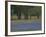 Texas Blue Bonnets and Oak Trees, Nixon, Texas, USA-Darrell Gulin-Framed Photographic Print