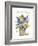 Texas Bluebonnet I-Anne Tavoletti-Framed Art Print