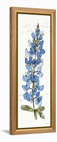 Texas Bluebonnet III-Anne Tavoletti-Framed Stretched Canvas