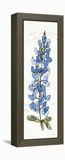 Texas Bluebonnet III-Anne Tavoletti-Framed Stretched Canvas