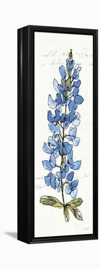 Texas Bluebonnet III-Anne Tavoletti-Framed Stretched Canvas