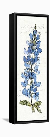 Texas Bluebonnet III-Anne Tavoletti-Framed Stretched Canvas