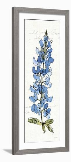 Texas Bluebonnet III-Anne Tavoletti-Framed Art Print