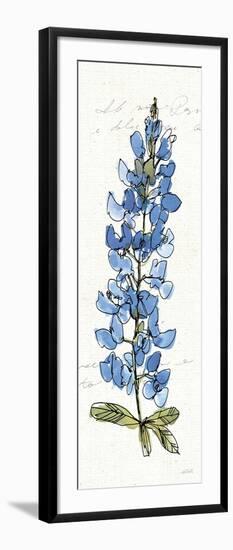 Texas Bluebonnet III-Anne Tavoletti-Framed Art Print