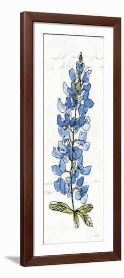 Texas Bluebonnet III-Anne Tavoletti-Framed Art Print