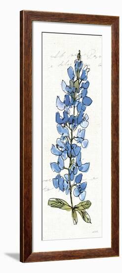 Texas Bluebonnet III-Anne Tavoletti-Framed Art Print