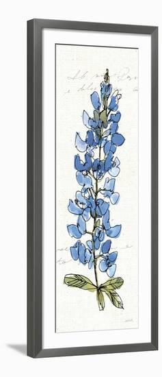 Texas Bluebonnet III-Anne Tavoletti-Framed Art Print