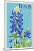 Texas - Bluebonnet - Letterpress-Lantern Press-Mounted Art Print