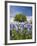 Texas Bluebonnets and Oak Tree, Texas, USA-Julie Eggers-Framed Photographic Print