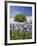 Texas Bluebonnets and Oak Tree, Texas, USA-Julie Eggers-Framed Photographic Print