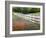 Texas Bluebonnets and Paintbrush Along White Fence Line, Texas, USA-Julie Eggers-Framed Photographic Print