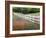 Texas Bluebonnets and Paintbrush Along White Fence Line, Texas, USA-Julie Eggers-Framed Photographic Print